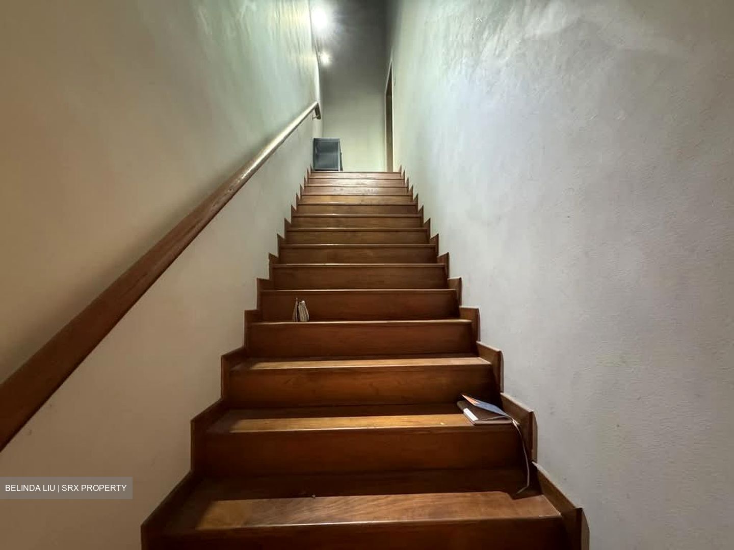 Bukit Timah Road (D10), Apartment #532531461